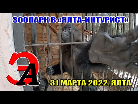Зоопарк в Ялта-Интурист