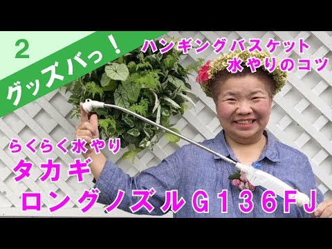 水苔の使い方みずごけを簡単に袋から出す方法プランツギャザリングにはaaaaの長いミズゴケ グッズバっ No 12アラフォー アラフィフ アラカン女性に優しいガーデングッズ紹介 花創人ガーデニング教室 Youtube