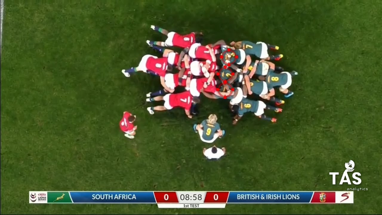 A Tribute to the Springboks 