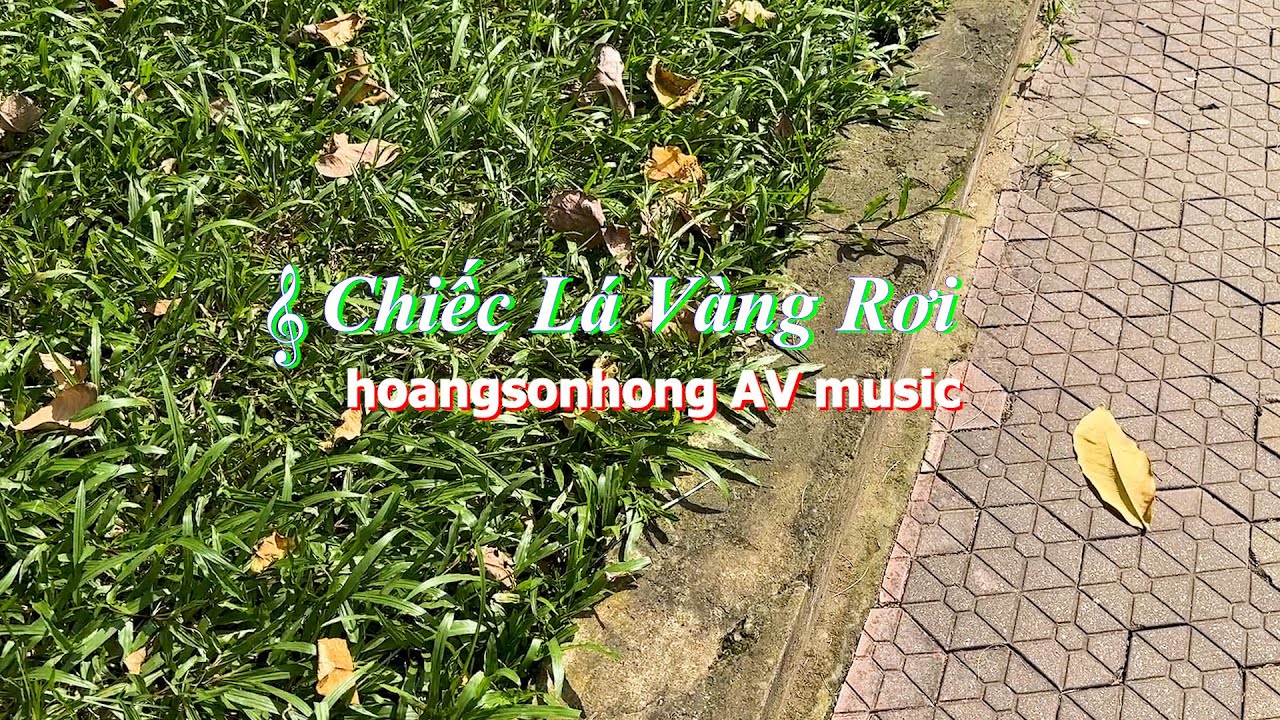 Chiếc Lá Vàng Rơi #hoangsonhongAVmusic #029 - YouTube
