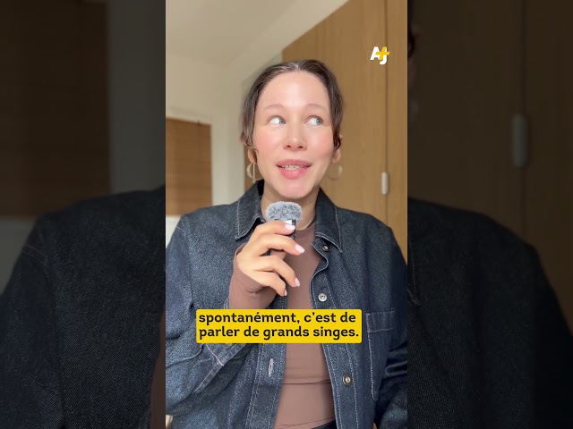 Bally Bagayoko comparé à un singe sur CNews