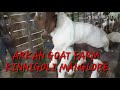 Arkan goat farm kinnigoli manglore