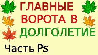 Секрет Планирования Долгожительства И Здоровья. Горизонт Старения Цикл Секреты Долголетия Часть P.s.