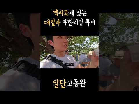한국인 혼자 데낄라 무한리필 투어를 간다면? #멕시코 #여행 #과달라하라