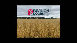 New Grain Store Building Roller Shutter Doors All Complete