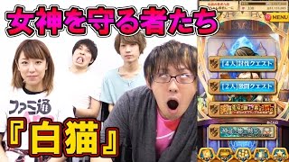 『白猫プロジェクト』神域に集う戦士たち協力プレイ！女神を守ろう