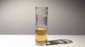 The Snapshotr: Official Teaser #1