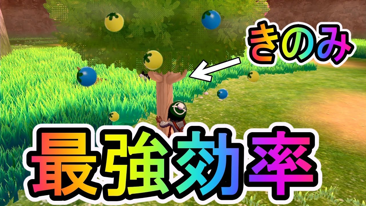 ポケモン ソード シールド 剣盾 きのみ集め 徹底解説 一番効率のいい方法 Youtube