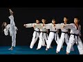 Taekwondo Girls & Buys Poomsae Class 4 to 9 On TKD Action