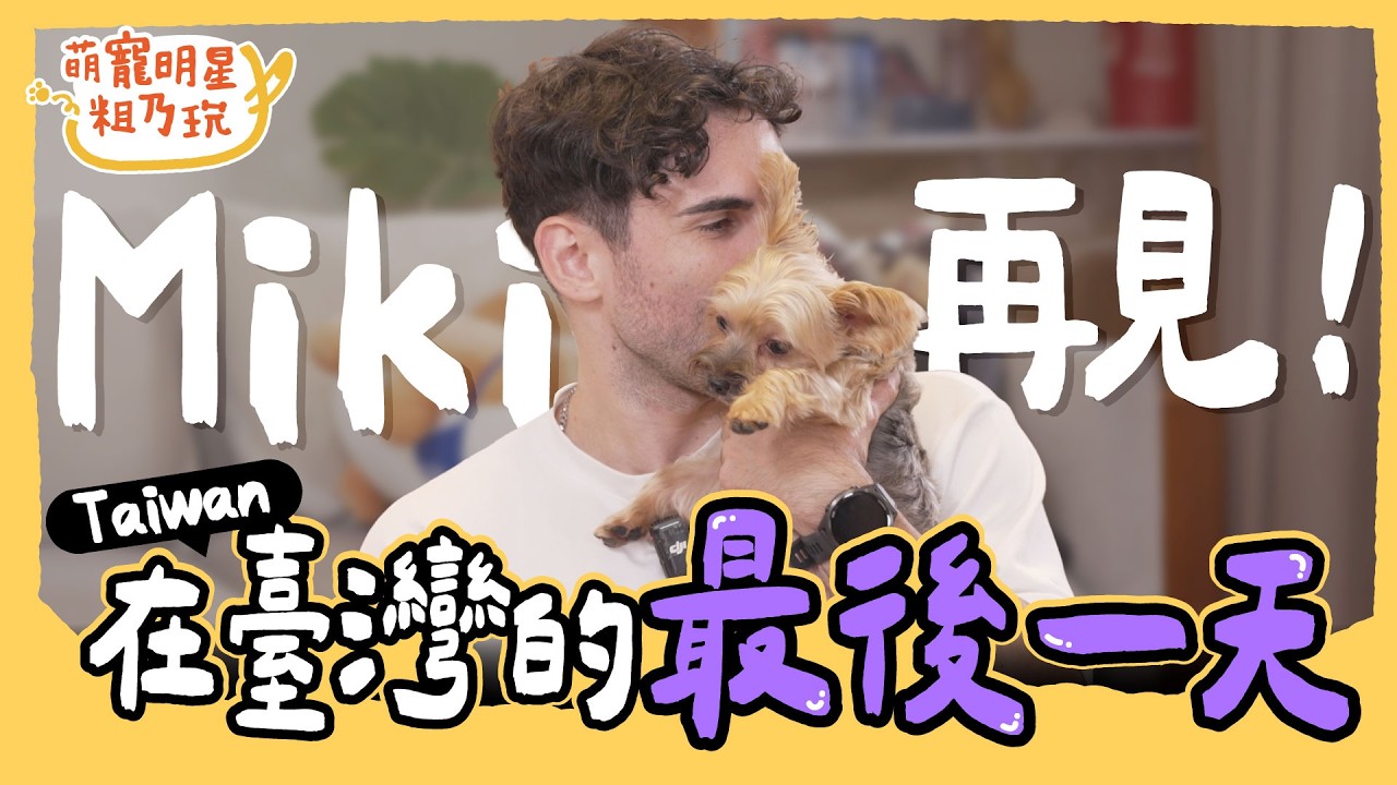 [SUB] EP9 中文怪物 酷的夢 與毛孩 Miki 的最後一天！真情流露 Sandy 淚崩招架不住！？【 萌寵明星粗乃玩 】完整版 @haveapetday Sandy Ku's dream酷的夢