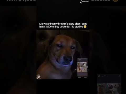 💚POV: Me Watching My Brother's Story After Sending Him $1,000 for Books 😂 #trending #funnyvideo