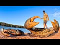 GIANT MUD CRAB CATCH AND COOK - NO FOOD