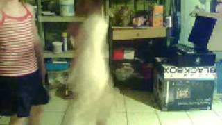 Capture 20090207 21