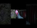 Green Jungle Fowl.The Colorful Birds of Indonesia #fowl #cheken