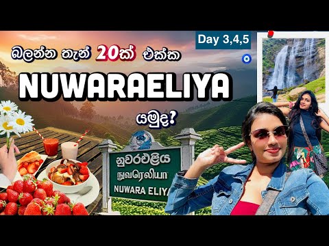 Nuwaraeliya යන්න තැන් 20ක්ම 🤗🧿Vlog 2️⃣ දවස් 03ක් අපිත් එක්ක නුවරඑළියෙ යමුද? 🥰  Day 3,4,5