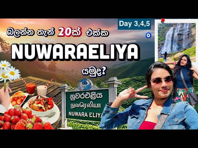 Nuwaraeliya යන්න තැන් 20ක්ම 🤗🧿Vlog 2️⃣ දවස් 03ක් අපිත් එක්ක නුවරඑළියෙ යමුද? 🥰  Day 3,4,5