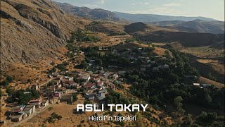 Aslı Tokay - Herdifin Tepeleri