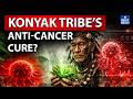 Hidden Cancer Cure? Konyak Tribe’s Traditional Medicine Discovery | UPSC | NEXT IAS