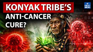Hidden Cancer Cure? Konyak Tribes Traditional Medicine Discovery Upsc Next Ias