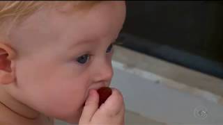 ✅ Método Blw| Método Blw Para Bebês| Método Blw Para Introdução Alimentar✅ screenshot 1