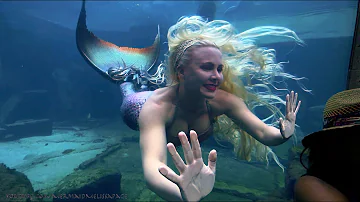 The Real Mermaid Melissa Up close Encounters