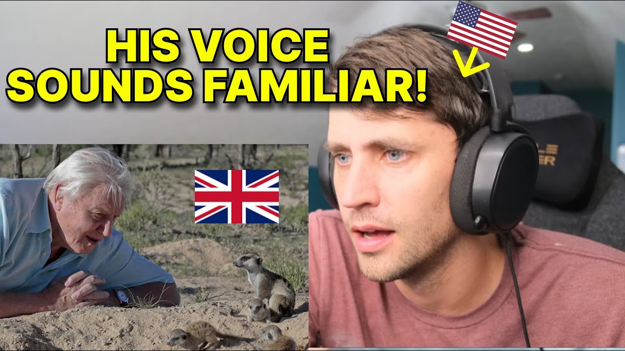 American reacts to David Attenborough for the first time (top 10 moments)