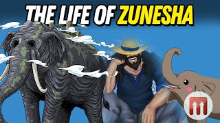 WHO / WHAT IS ZUNESHA  ONE PIECE THEORY & DISCUSSION 