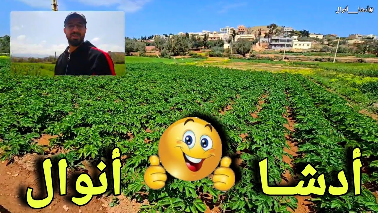 أول مرة كنشوف هذا الجمال الرباني🥰🏞...صراحة دوار انوال رقم واحد في الطبيعة😅 شكون متافق معيا ؟