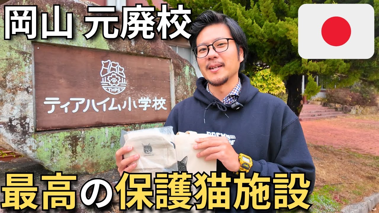 Начальная школа Тирхайм 🇯🇵 Приют для кошек в заброшенной школе был фантастическим