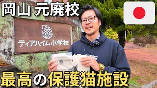 टीयरहाइम प्राथमिक विद्यालय 🇯🇵 परित्यक्त स्कूल में बनाया गया बिल्ली आश्रय शानदार था screenshot 4