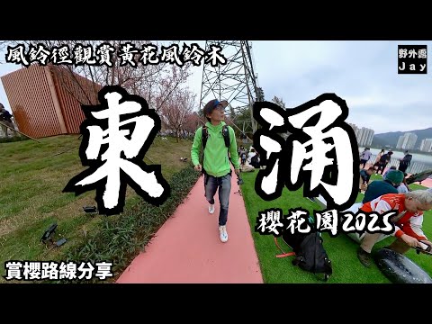 東涌櫻花園2025????｜風鈴徑觀賞黃花風鈴木????｜粉紅黃金花海一次睇哂????｜賞花路線推介