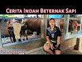 Cerita Indah Peternak Sapi Wanita Tulungagung || Wanita Inspiratif