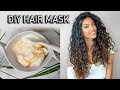 4 Ingredient Moisturizing & Repairing Hair Mask for Dry/Damaged Hair- NATURAL DIY | ARIBA PERVAIZ