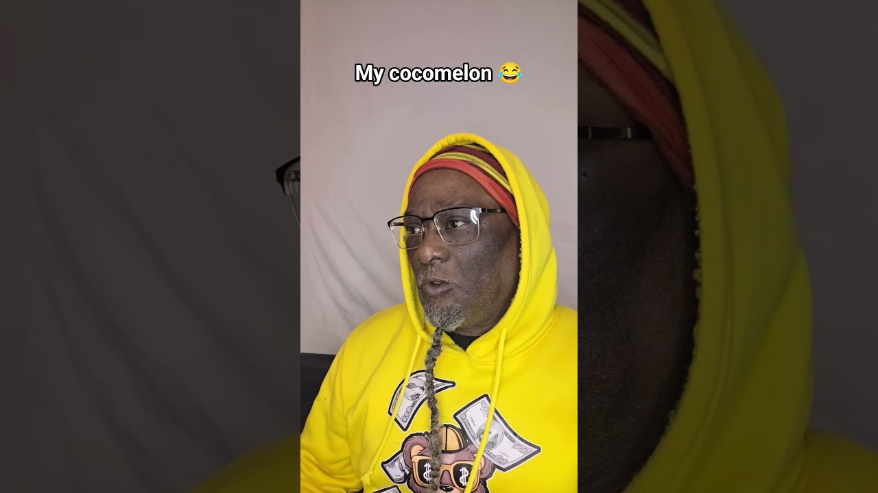  2025 Best Sinhala Songs With Reggae Version - YouTube Auto PHP Script