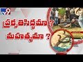 Snake in Durgada : Is Cobra an avatar of Subramanya Swamy?