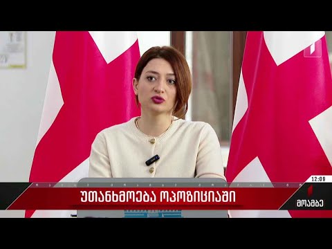 უთანხმოება ოპოზიციაში