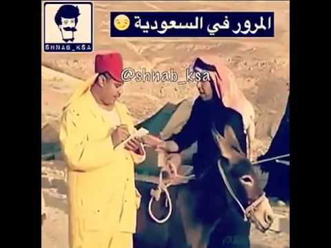 اصلا ليه السعوديه يسبونها حمار وكذا السعوديه اصلا فيها خير والي يتشمت هو حمار