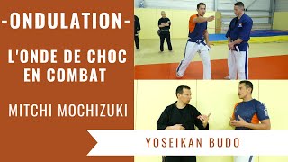 FORCE ONDULATOIRE : COMMENT EXPLOITER L'ONDE DE CHOC EN COMBAT (MITCHI MOCHIZUKI - YOSEIKAN BUDO)