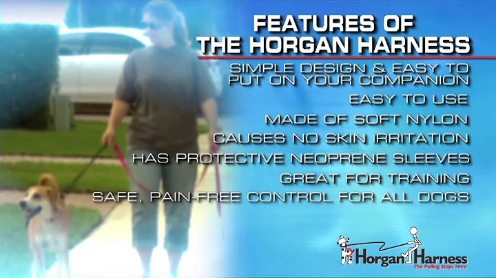 Horgan Harness Informational Video (short version)