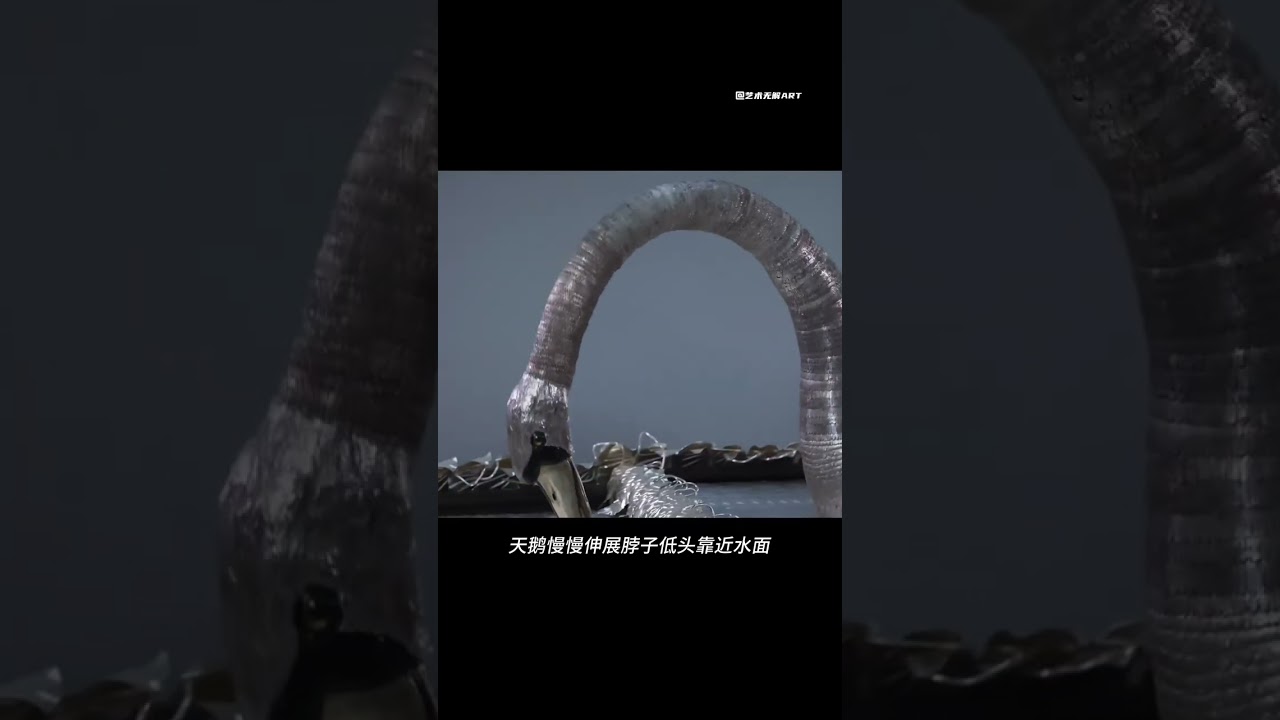 255-Year-Old Swan: The Longest-Living Swan in London History