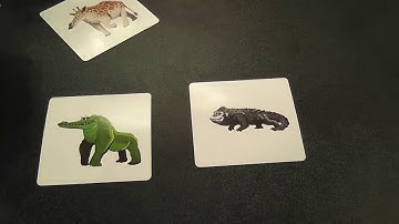 Pigasus (Brain Games) Gen Con 2019 Overview