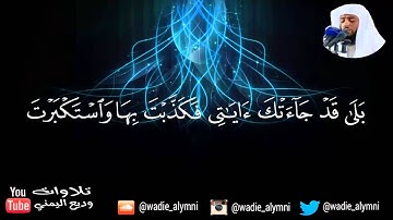تلاوة إبداعية تذهب بك إلى عالم آخر_وديع اليمني