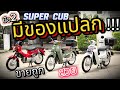 ( ถูกคุ้ม !!! ) 🌟Honda Super Cub ( 1,000 km ) มือสอง 🔥🔥🔥 โคตรถูก !!! รถบ้านแท้ ช้าอด !!!