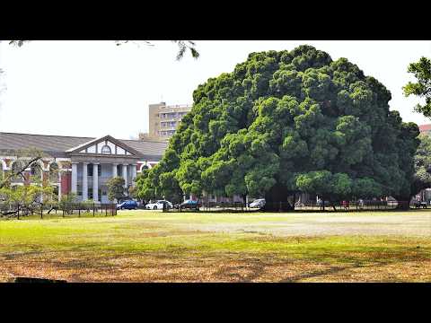 National Cheng Kung University is a force that the nation and society can  trust.