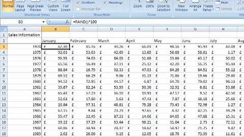 AM 4122 Split a window Microsoft Excel 2007 ECDL Advanced ITQ3