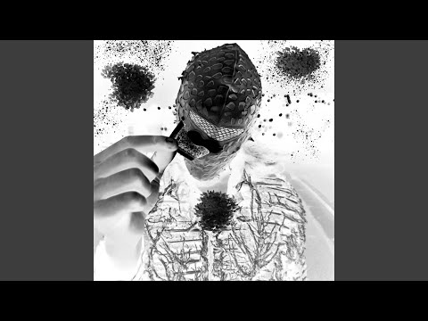 Watch catchmeifyoucan on YouTube Watch catchmeifyoucan on YouTube