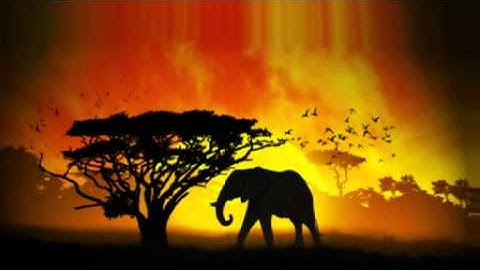 Lightforce C64 Theme (We Are Free Remix)