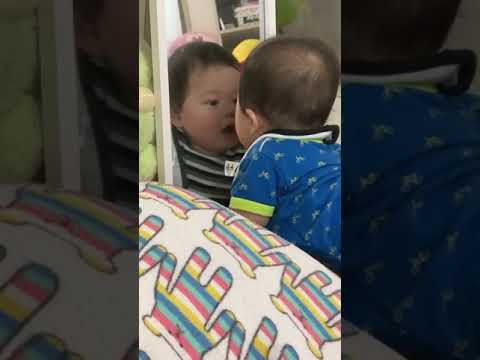 鏡に興味津々な赤ちゃん Youtube