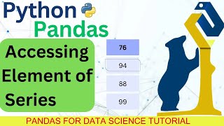Accessing element of  Pandas Series By Index  &  Labels   Pandas Tutorial For Data Analytics Net Worth