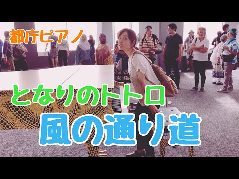 都庁展望台で「風の通り道」を弾いてみた【都庁ピアノ】